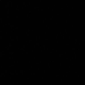 Meet your Posher, Bella